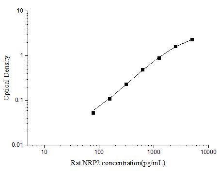 Rat NRP2(Neuropilin 2) ELISA Kit - ABMIUM