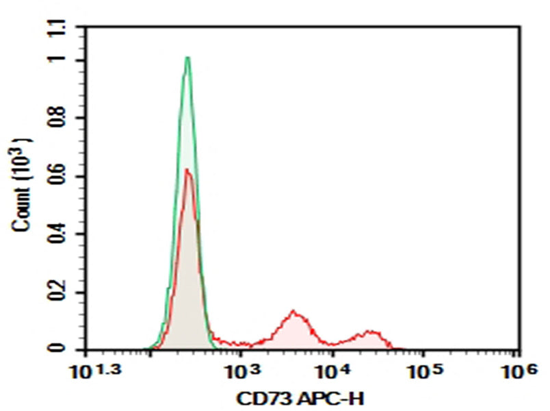 Human peripheral blood lymphocytes were stained with 0.2 μg Purified Anti-Human CD73 Antibody[AD2] (Right) and 0.2 μg Mouse IgG1, κ Isotype Control (Left), followed by APC-conjugated Goat Anti-Mouse IgG Secondary Antibody.