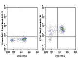 Anti-Human CD33 Antibody [P67.6] - ABMIUM