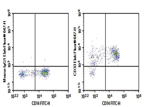 Anti-Human CD33 Antibody [P67.6] - ABMIUM