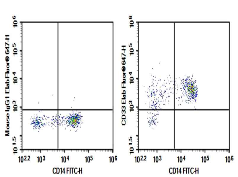 Anti-Human CD33 Antibody [P67.6] - ABMIUM