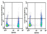Anti-Human CD25 Antibody [7G7B6] - ABMIUM