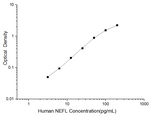 Human NEFL(Neurofilament, Light Polypeptide) ELISA Kit - ABMIUM