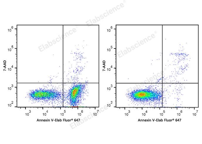Annexin V-Elab Fluor® 647/7-AAD Apoptosis Kit - ABMIUM