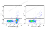 Annexin V-Elab Fluor® 647/7-AAD Apoptosis Kit - ABMIUM