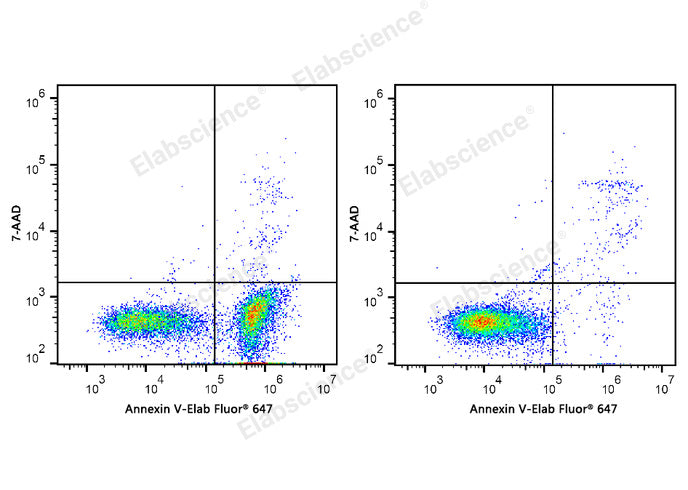 Annexin V-Elab Fluor® 647/7-AAD Apoptosis Kit - ABMIUM