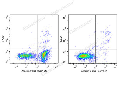 Annexin V-Elab Fluor® 647/7-AAD Apoptosis Kit - ABMIUM