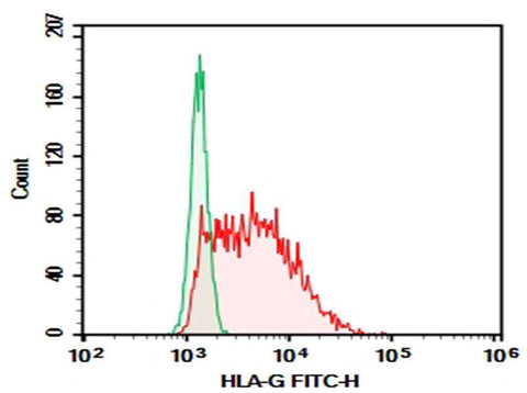 Anti-Human HLA-G Antibody [87G] - ABMIUM
