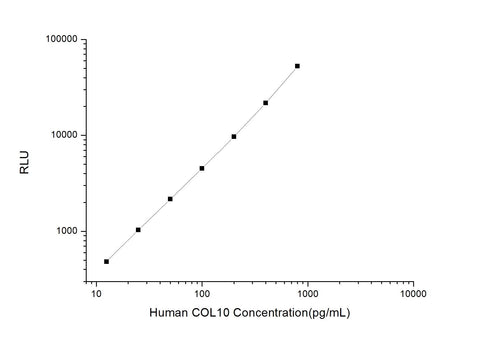 Human COL10 (Collagen Type X) CLIA Kit - ABMIUM