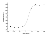 Measured by its ability to inhibit TNF-α mediated cytotoxicity in L-929 mouse fibrosarcoma cells in the presence of the metabolic inhibitor actinomycin D. The ED<sub>50</sub> for this effect is typically 1-5 ng/ml in the presence of 0.25 ng/mL recombinant human TNF-α.