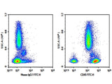 Human peripheral blood were stained with 0.2 μg AF/LE Purified Anti-Human CD45 Antibody[BC8] (Right) and 0.2 μg Mouse IgG1, κ Isotype Control (Left), followed by FITC-conjugated Goat Anti-Mouse IgG Secondary Antibody.