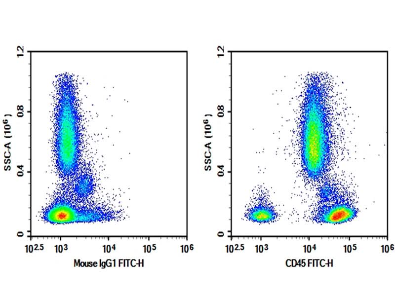 Human peripheral blood were stained with 0.2 μg AF/LE Purified Anti-Human CD45 Antibody[BC8] (Right) and 0.2 μg Mouse IgG1, κ Isotype Control (Left), followed by FITC-conjugated Goat Anti-Mouse IgG Secondary Antibody.