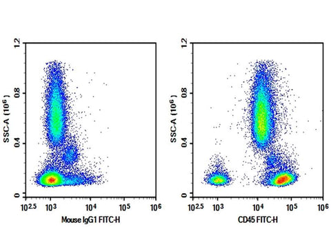 Human peripheral blood were stained with 0.2 μg AF/LE Purified Anti-Human CD45 Antibody[BC8] (Right) and 0.2 μg Mouse IgG1, κ Isotype Control (Left), followed by FITC-conjugated Goat Anti-Mouse IgG Secondary Antibody.