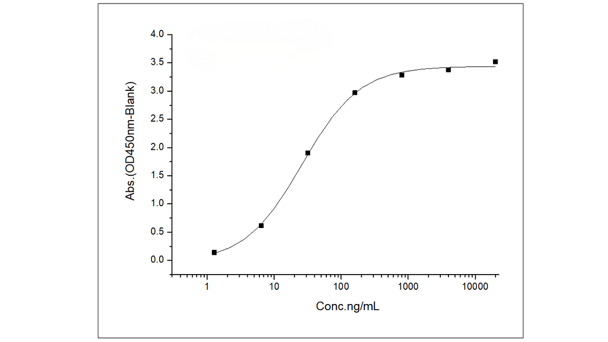 Immobilized Spike Protein S1 (aa 1-725) (Cat: PKSV030241) at 2 μg/ml (100 μl/well) can bind biotinylated Fc-DPP4 (Cat: PKSH030456). The EC<sub>50</sub> of biotinylated Fc-DPP4 (Cat: PKSH030456) is 15-60 ng/ml.
