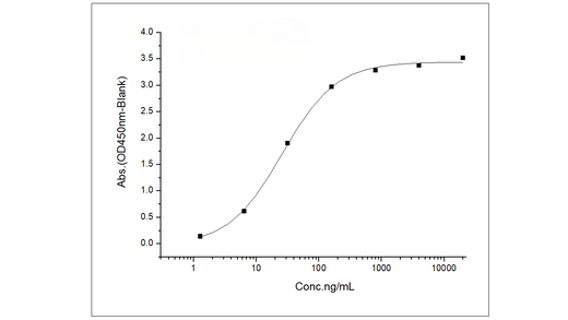 Immobilized Spike Protein S1 (aa 1-725) (Cat: PKSV030241) at 2 μg/ml (100 μl/well) can bind biotinylated Fc-DPP4 (Cat: PKSH030456). The EC<sub>50</sub> of biotinylated Fc-DPP4 (Cat: PKSH030456) is 15-60 ng/ml.