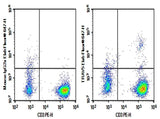 Anti-Human TRAV5 Antibody [MH3-2] - ABMIUM