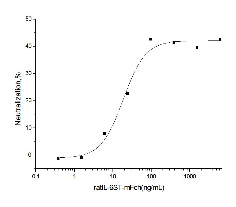 Measured by its ability to inhibit the IL6 Rα enhancement of IL6 activity on M1 mouse myeloid leukemia cells (Saito, T. et al. 1991, J. Immunol. 147:168.). The ED<sub>50</sub> for this effect is typically 0.015-0.075 μg/ml in the presence of 50 ng/ml recombinant human IL6sR and 100 ng/ml recombinant human IL6.