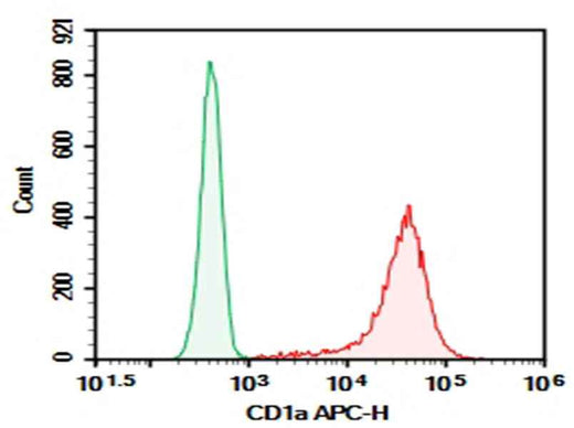 Anti-Human CD1a Antibody [HI149] - ABMIUM