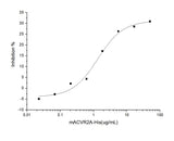 Measured by its ability to neutralize Activin-mediated inhibition on MPC11 cell proliferation.The ED<sub>50</sub> for this effect is typically 0.6-3 μg/mL in the presence of 10 ng/ml Recombinant Human Activin A.