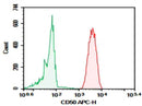 Anti-Human CD50 Antibody [CBR-IC3/1] - ABMIUM