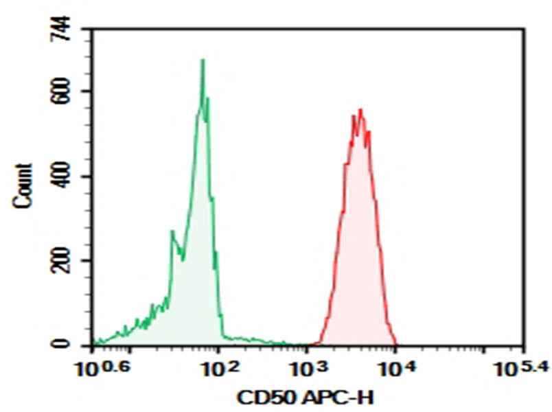 Anti-Human CD50 Antibody [CBR-IC3/1] - ABMIUM