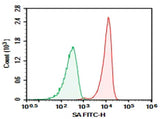 Anti-SA Antibody [15E6] - ABMIUM