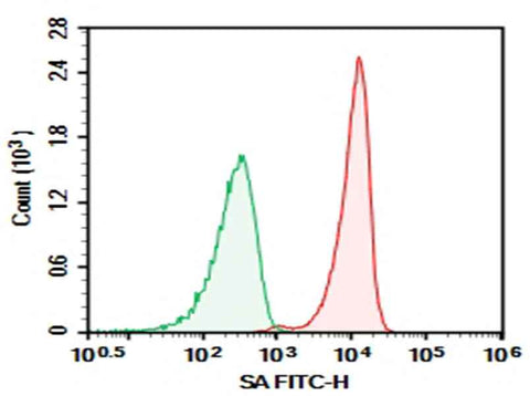 Anti-SA Antibody [15E6] - ABMIUM