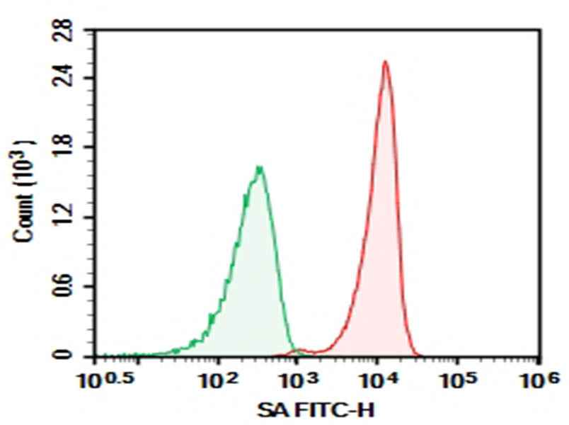 Anti-SA Antibody [15E6] - ABMIUM