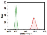 Jurkat were stained with 0.2 μg AF/LE Purified Anti-Human CD47 Antibody[B6H12] (Right) and 0.2 μg Mouse IgG21, κ Isotype Control (Left), followed by FITC-conjugated Goat Anti-Mouse IgG Secondary Antibody.