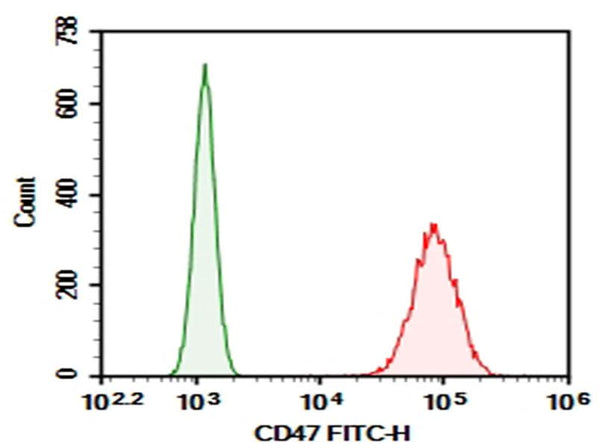Jurkat were stained with 0.2 μg AF/LE Purified Anti-Human CD47 Antibody[B6H12] (Right) and 0.2 μg Mouse IgG21, κ Isotype Control (Left), followed by FITC-conjugated Goat Anti-Mouse IgG Secondary Antibody.