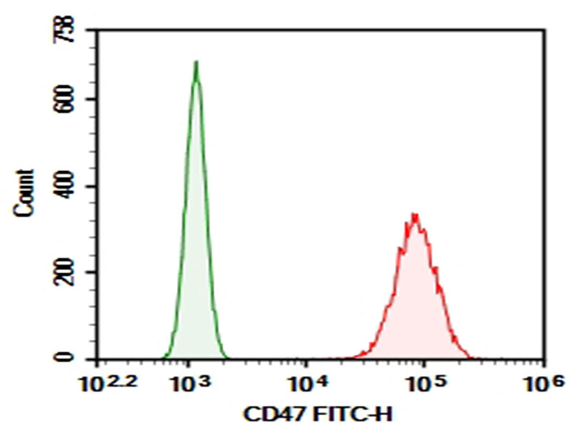 Jurkat were stained with 0.2 μg AF/LE Purified Anti-Human CD47 Antibody[B6H12] (Right) and 0.2 μg Mouse IgG21, κ Isotype Control (Left), followed by FITC-conjugated Goat Anti-Mouse IgG Secondary Antibody.