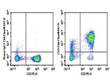 Human peripheral blood lymphocytes cell were stained with 0.2 μg Purified Anti-Human CD5 Antibody[HISM2] (Right) and 0.2 μg Mouse IgG1,  κ Isotype Control (Left),  followed by Elab Fluor<sup>®</sup> 647-conjugated Goat Anti-Mouse IgG Secondary Antibody,  then anti-Human CD3 PE-conjugated Monoclonal Antibody.