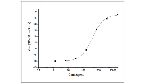 Immobilized Recombinant Mouse FOLR1 / FR-alpha Protein (His Tag) (Cat: PKSM040605) at 1 μg/mL (100 μL/well) can bind Luveltamab derived anti-FOLR1 antibody, the EC<sub>50</sub> is 226-678 ng/mL.