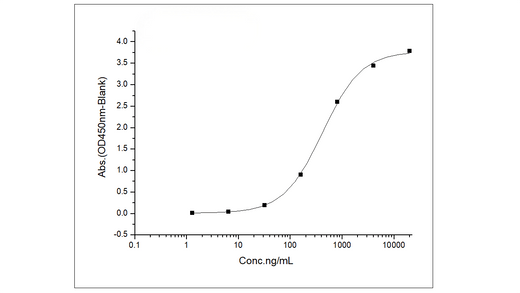 Immobilized Recombinant Mouse FOLR1 / FR-alpha Protein (His Tag) (Cat: PKSM040605) at 1 μg/mL (100 μL/well) can bind Luveltamab derived anti-FOLR1 antibody, the EC<sub>50</sub> is 226-678 ng/mL.