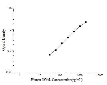 Human NGAL(Neutrophil Gelatinase Associated Lipocalin) ELISA Kit - ABMIUM