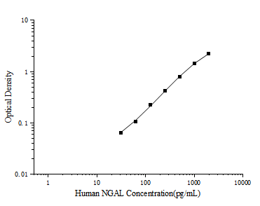Human NGAL(Neutrophil Gelatinase Associated Lipocalin) ELISA Kit - ABMIUM