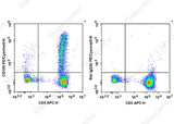 Staining of normal human peripheral blood cells with FITC Anti-Human CD3 Antibody[OKT-3] and PE/Cyanine 5 Anti-Human CD195 Antibody[HEK/1/85a/7a] (left) or PE/Cyanine 5 Rat IgG2b, κ Isotype Control (right). Cells in the lymphocytes gate were used for analysis.