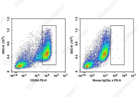 Anti-Human CD204 Antibody [7C9C20] - ABMIUM