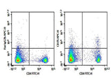 Anti-Mouse CD25 Antibody [3C7] - ABMIUM