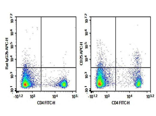 Anti-Mouse CD25 Antibody [3C7] - ABMIUM