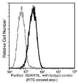 Anti-Human ADAM15 Antibody [B112]