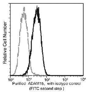 Anti-Human ADAM15 Antibody [B112] - ABMIUM
