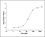 Measured by its binding ability in a functional ELISA. Immobilized rat CD47-His (Cat: PKSR030248) at 10 μg/ml (100 μl/well) can bind mouse SIRPA-Fc, The EC<sub>50</sub> of mouse SIRPA-Fc is 0.6-1.4 μg/ml.
