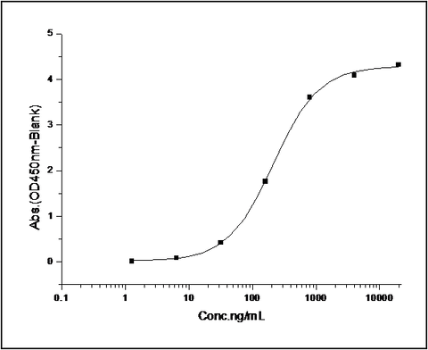 Measured by its binding ability in a functional ELISA. Immobilized rat CD47-His (Cat: PKSR030248) at 10 μg/ml (100 μl/well) can bind mouse SIRPA-Fc, The EC<sub>50</sub> of mouse SIRPA-Fc is 0.6-1.4 μg/ml.