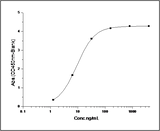 Measured by its binding ability in a functional ELISA. Immobilized human uPAR at 5 μg/ml (100 μl/well) can bind biotinylated human UPA with a linear range of 40-1000 ng/ml.