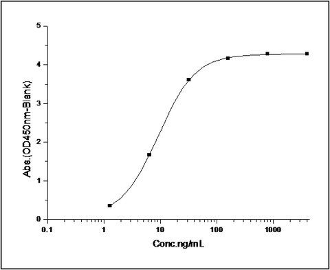 Measured by its binding ability in a functional ELISA. Immobilized human uPAR at 5 μg/ml (100 μl/well) can bind biotinylated human UPA with a linear range of 40-1000 ng/ml.