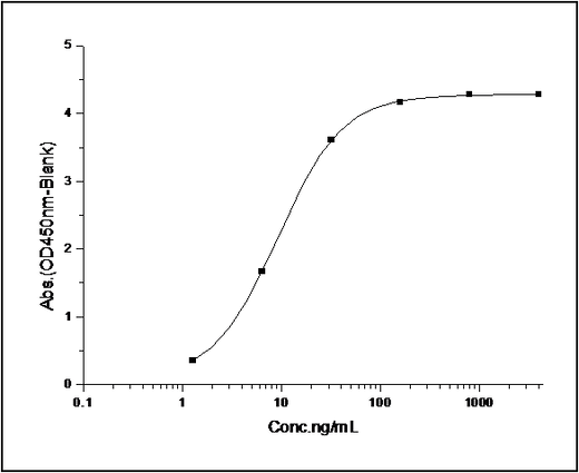 Measured by its binding ability in a functional ELISA. Immobilized human uPAR at 5 μg/ml (100 μl/well) can bind biotinylated human UPA with a linear range of 40-1000 ng/ml.