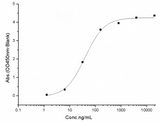 Measured by its binding ability in a functional ELISA. Immobilized human ACE2 protein (Fc tag)(Cat: PKSH031870) at 2 μg/mL (100 μL/well) can bind SARS-CoV-2 (2019-nCoV) Spike RBD(G476S)-His Recombinant Protein (PKSR030533), the EC<sub>50</sub> of SARS-CoV-2 (2019-nCoV) Spike RBD(G476S)-His Recombinant Protein (Cat: PKSR0305198) is 25-60 ng/mL.