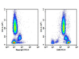 Human peripheral blood were stained with 0.2 μg Purified Anti-Human CD45 Antibody[HI30] (Right) and 0.2 μg Mouse IgG1, κ Isotype Control (Left), followed by FITC-conjugated Goat Anti-Mouse IgG Secondary Antibody.