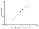 Uncoated Human HTRA1 (HtrA Serine Peptidase 1) ELISA Kit - ABMIUM